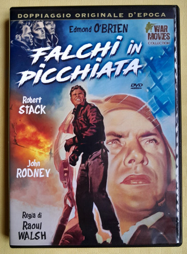 Falchi picchiata - falchi,