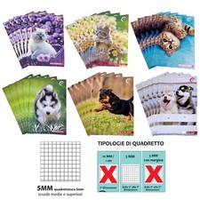 Gatto Gattino Cane Cucciolo