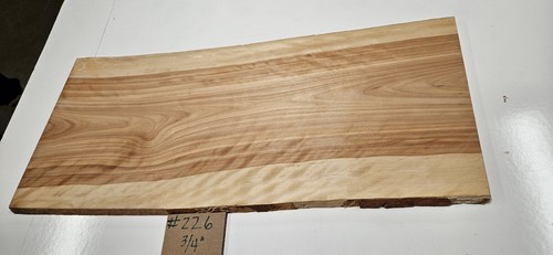 Flame birch bella - flame,