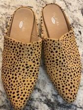 Dr Scholl's diapositive da