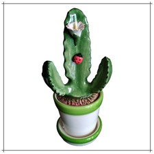 Cactus piante grasse - cactus,