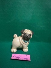 Thun Cane Carlino