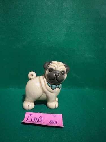 Thun cane carlino - thun,