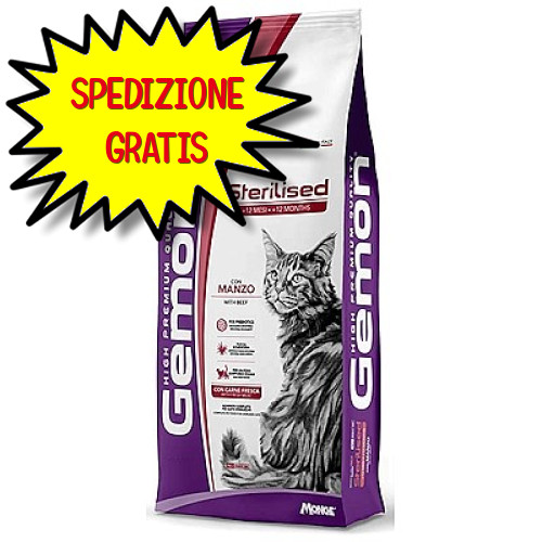 Gemon gatto adulto - gatto,