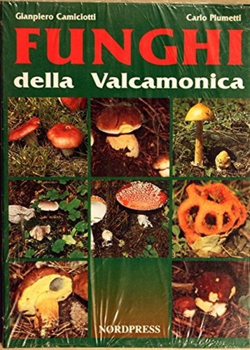 Funghi della valcamonica - della,
