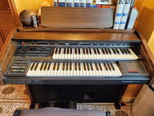 Organo elettronico farfisa - elettronico,