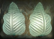 Coppia appliques  a foglia