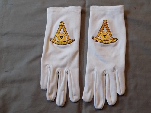 Guanti past master cotone - guanti,
