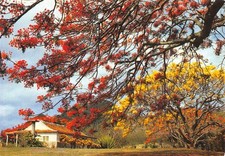 DOM-TOM-MARTINIQUE LE