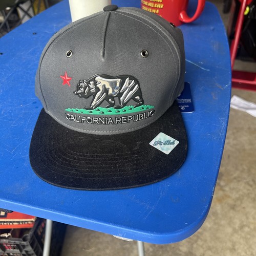 Emblema orso california - emblema,
