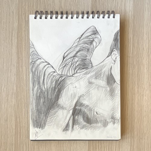 Disegno originale matita su - disegno, a