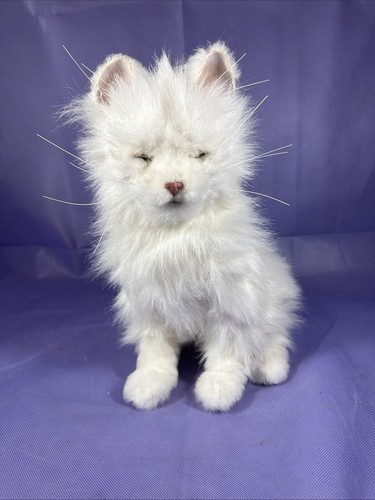 Gatto furreal bianco - gatto, 2006