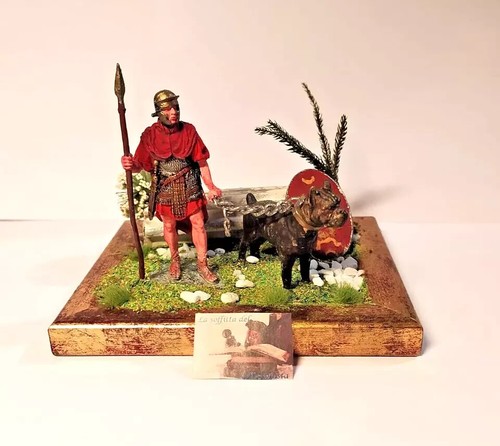 Diorama auxiliar cum - "auxiliar,