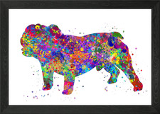 Poster Bulldog inglese