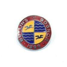 Vintage enamel badge pin