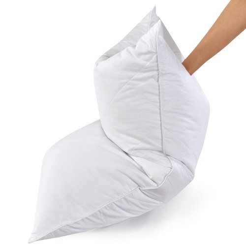 Queen standard goose feather - goose,