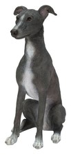 Frusta Vivid Arts cane blu e