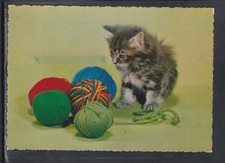 Postcard Cat with Wool Balls