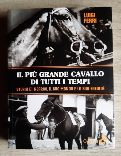 Più grande cavallo - il,