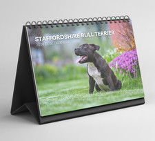 Staffordshire Bull Terrier