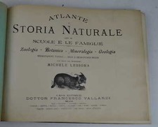 LESSONA MICHELE. Atlante di storia naturale per le scuole e le famiglie. s.a. (