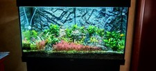 Acquario juwel rio 125 led - juwel,