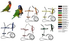 Pettorina pappagalli LORI