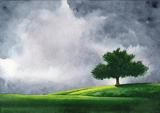 Dipinto ad acquerello cm. 24x18 - Paesaggio con albero solitario