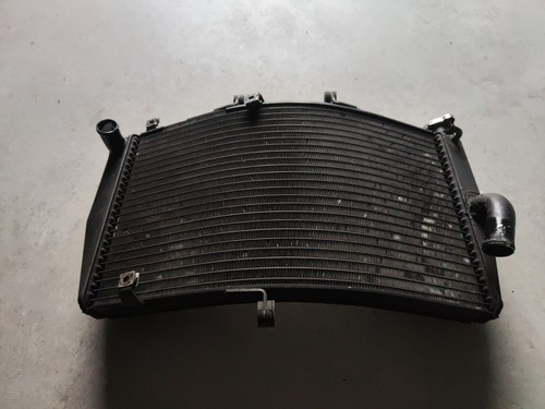 Radiatore honda cbr 600 - radiatore, rr