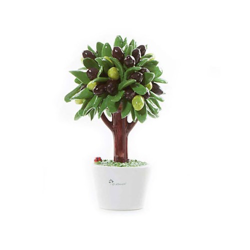Gli alberelli albero olivo - alberelli,