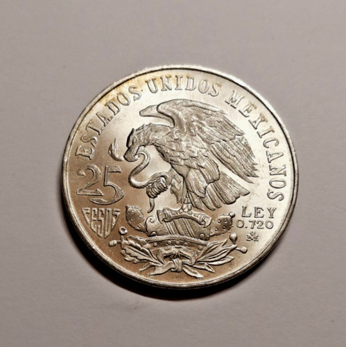 Moneta pesos argento - 25,
