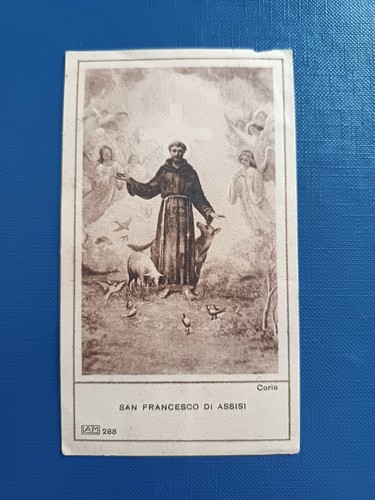 13141 santino san francesco - 13141,