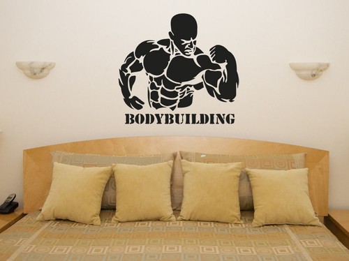 Body building palestra - building,