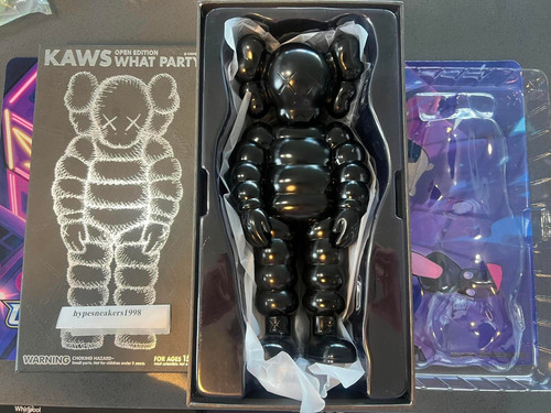 Kaws what party - party, figure