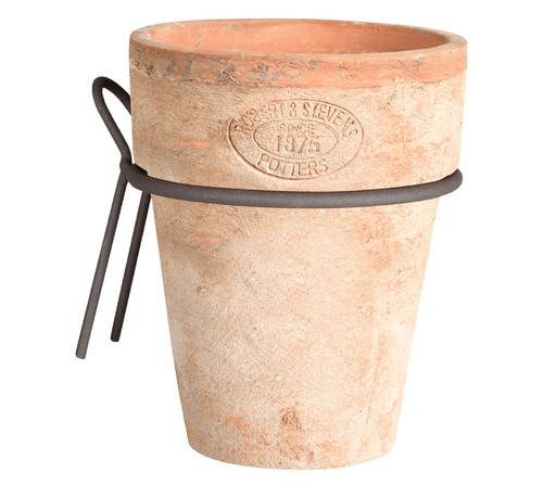 Pianta terracotta argilla - in,