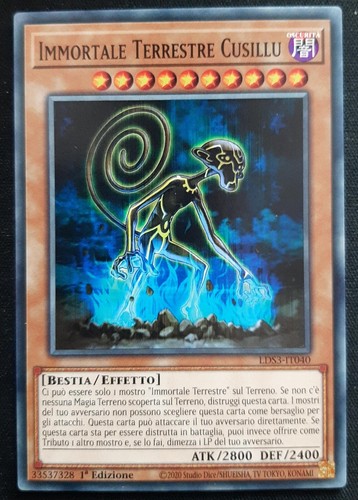 Immortale terrestre cusillu - immortale,