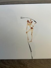 Piastrelle 20x20 Ceramica Bardelli con le "Fatine Buffe" di Manddalena Sisto