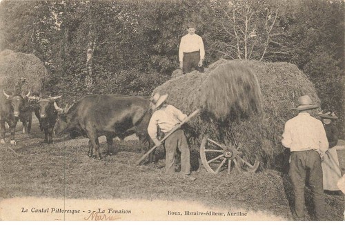 Cantal scenic fg59121 la - 15, #fg59121