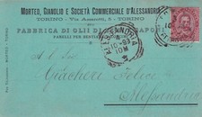 16546-REGNO,PUBBLICITARIA,TORINO,"MORTEO -GIANOLIO.." OLII DI SEMI E SAPONI,1893