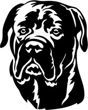Adesivo CANE CORSO - adesivo