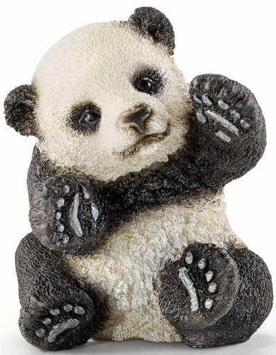 Panda cucciolo che - che, gioca