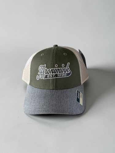 Vintage snapback aronimink - vintage,