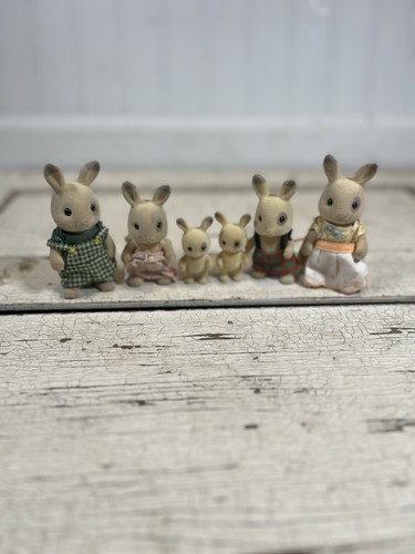 Vintage sylvanian family - vintage,