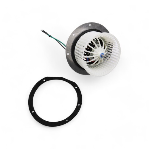 Rdx big power fanny - big,