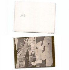 (b6835345)   Bayern Tirol Mittenwald Villa Aurora 1900 Foto ca. 12x9 cm