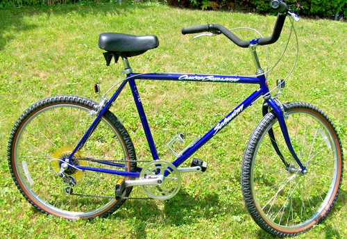 Vintage schwinn cruiser - schwinn,