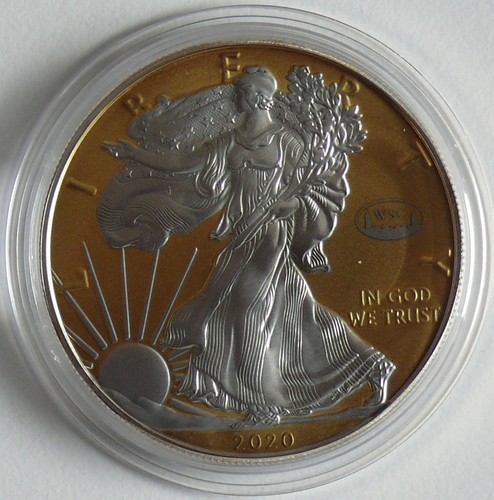 Usa dollaro 2020 silver - usa,