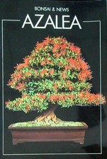 AZALEA AA.VV. CRESPI 1998 BONSAI & NEWS SPILLATO