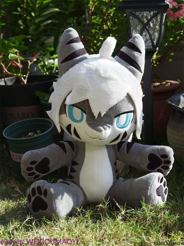 Cambiato gatto squalo - 【cambiato】,
