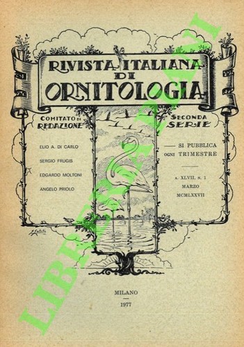 Vv rivista - aa.vv.,